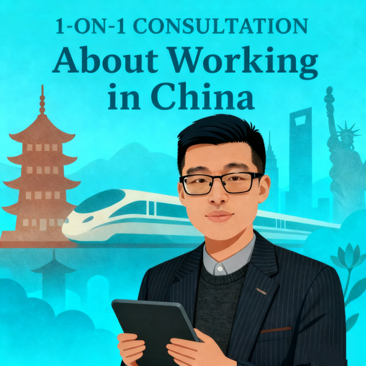 1-on-1 Consultation: About Working in China (90 min)